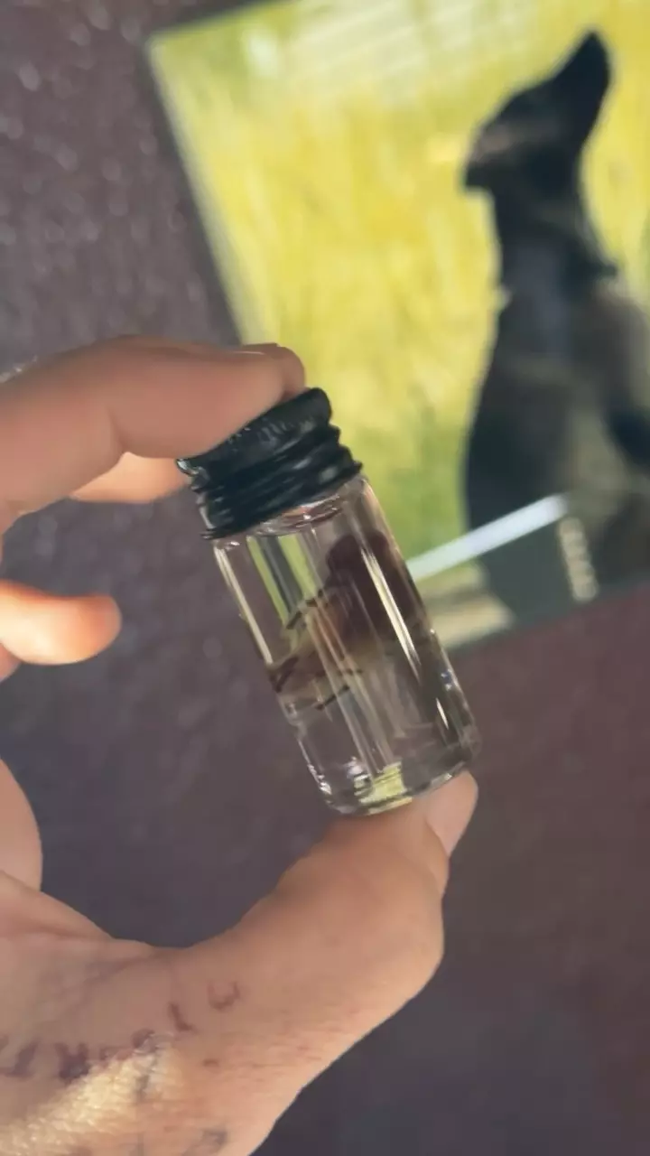 Ethically Sourced Diaphonized Pinky Mouse thumbnail