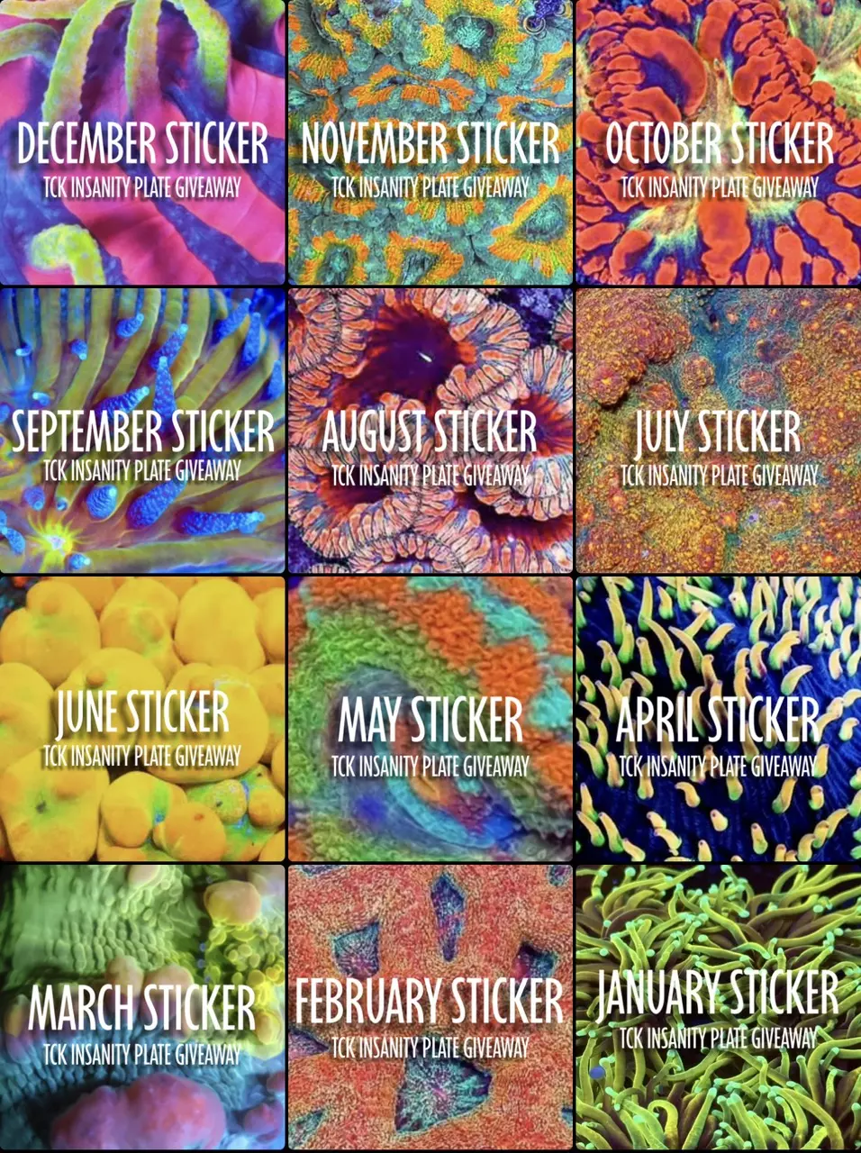 January to Current Sticker of the Month for TCK GIVEAWAY thumbnail