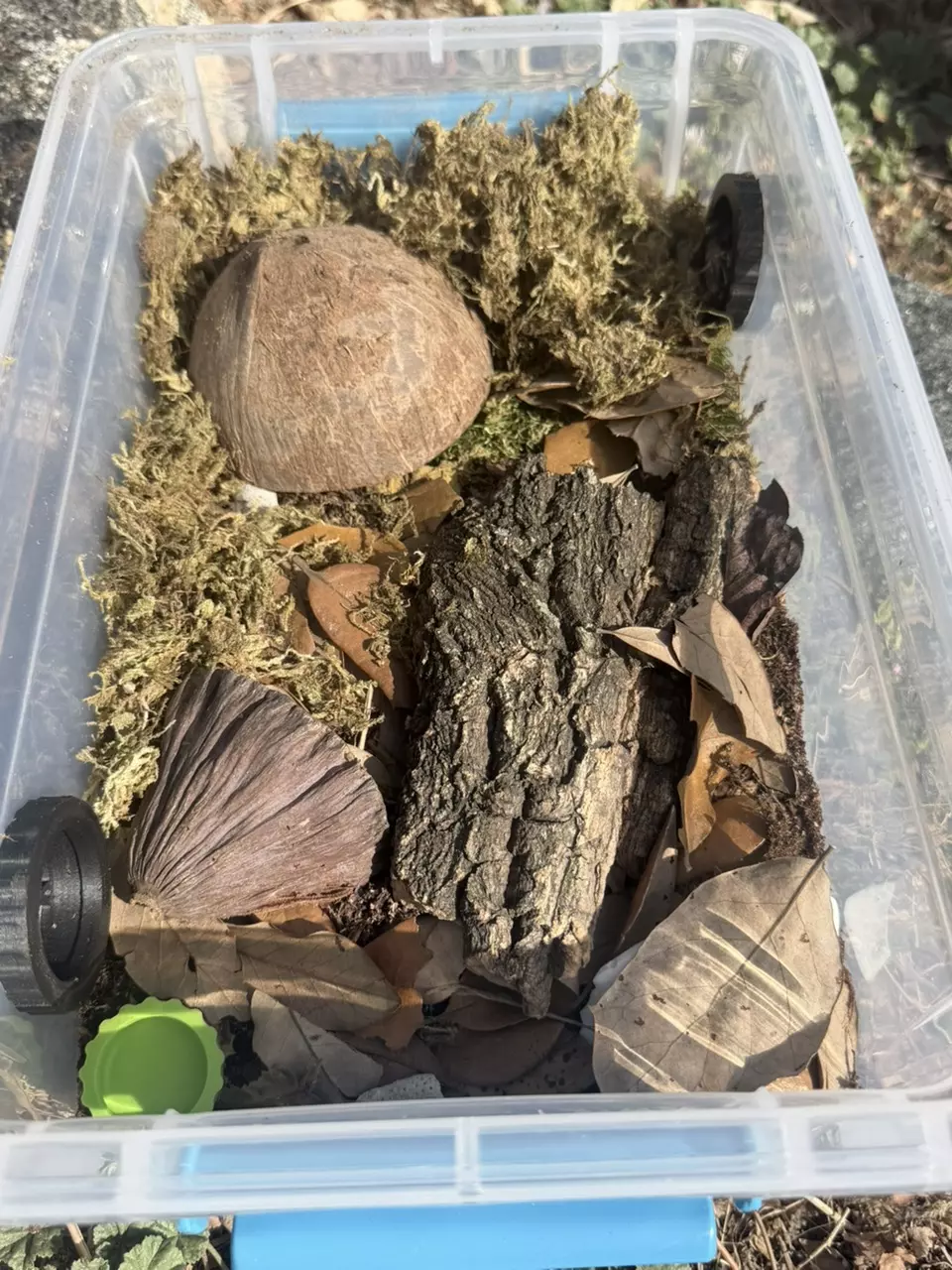 Complete Isopod Bin with Vents, Substrate and Necessary Accessories thumbnail