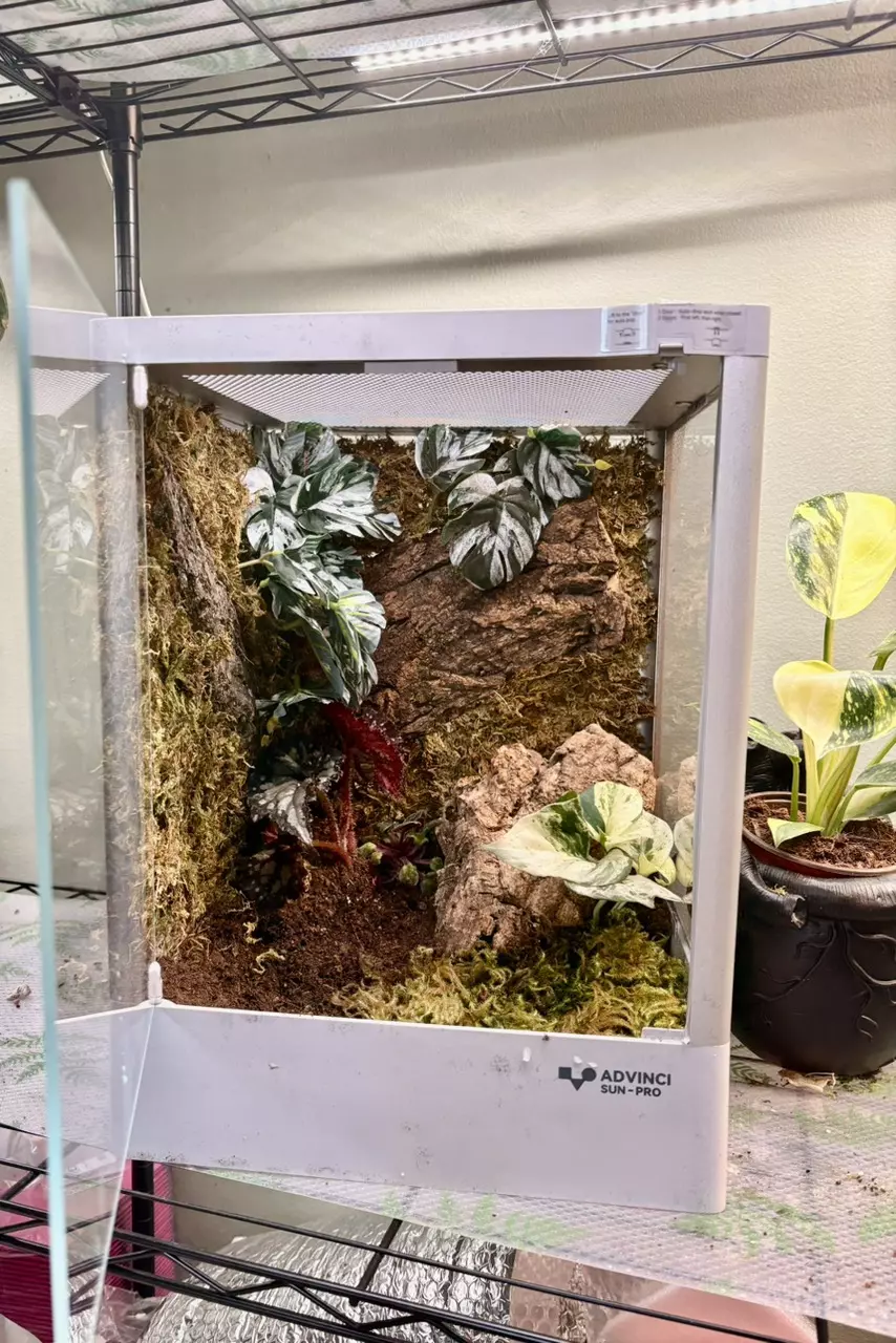 12”x12”x16” custom enclosure thumbnail