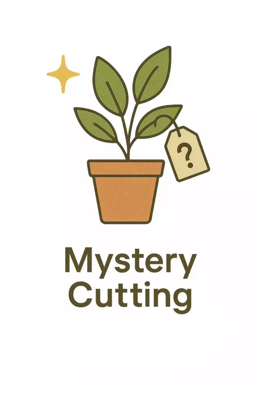 Mystery Cutting thumbnail
