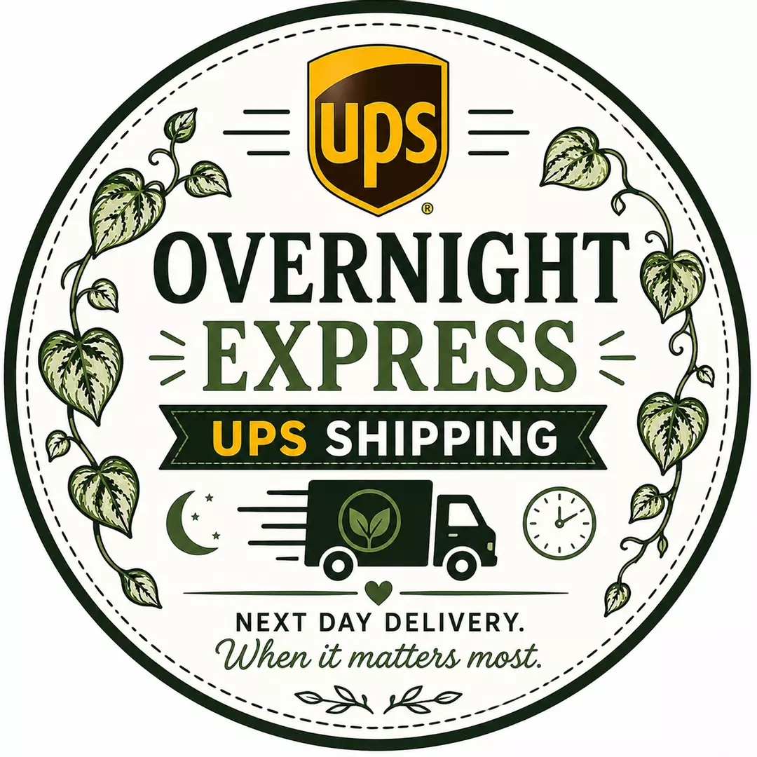 Overnight Shipping UPS thumbnail