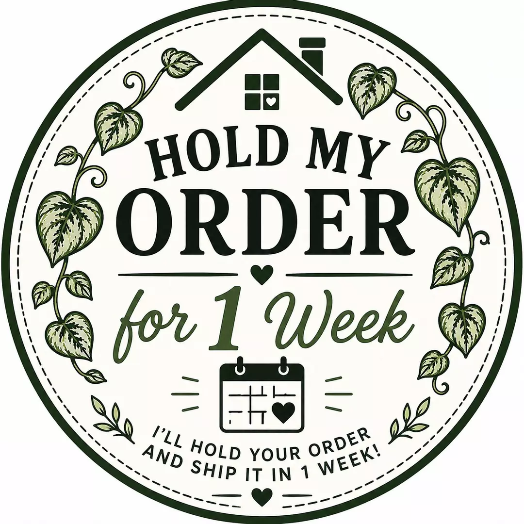 Hold My Order thumbnail