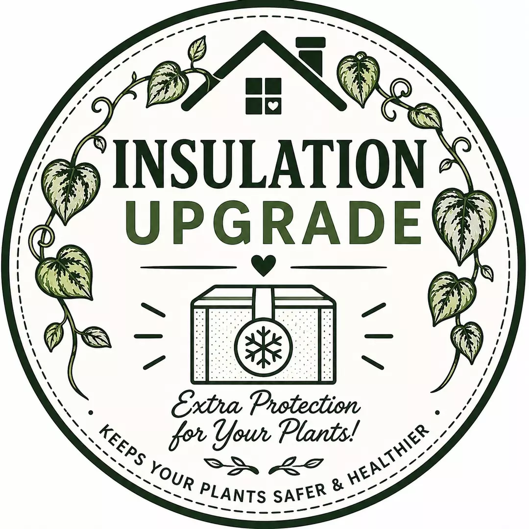 Insulation thumbnail