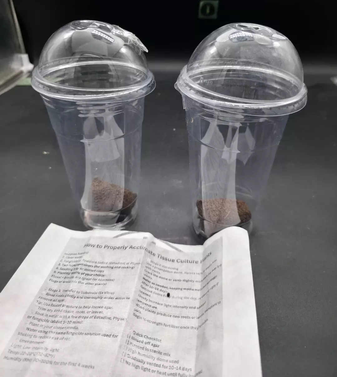 Acclimation kit for 2 plantlets thumbnail