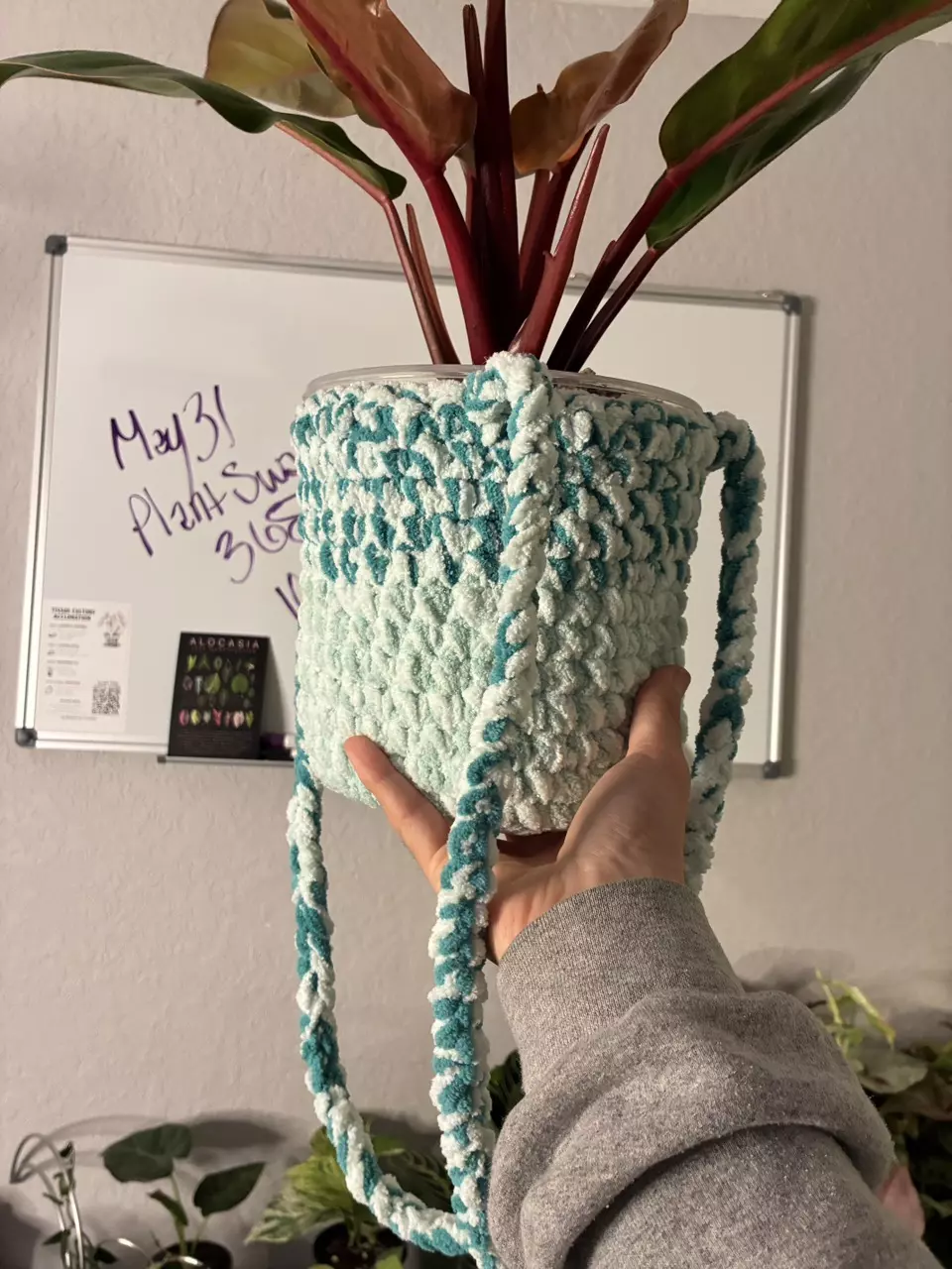ADD ON: Hanging Planter Pot Cover Handmade Crochet thumbnail