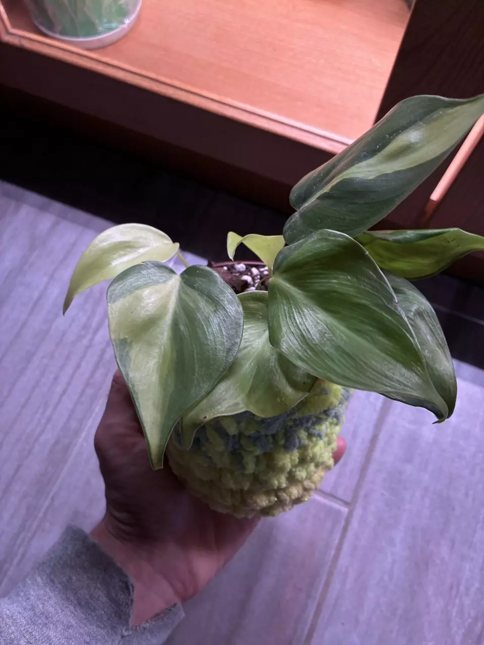ADD ON: 3” Planter Pot Cover Handmade Crochet thumbnail