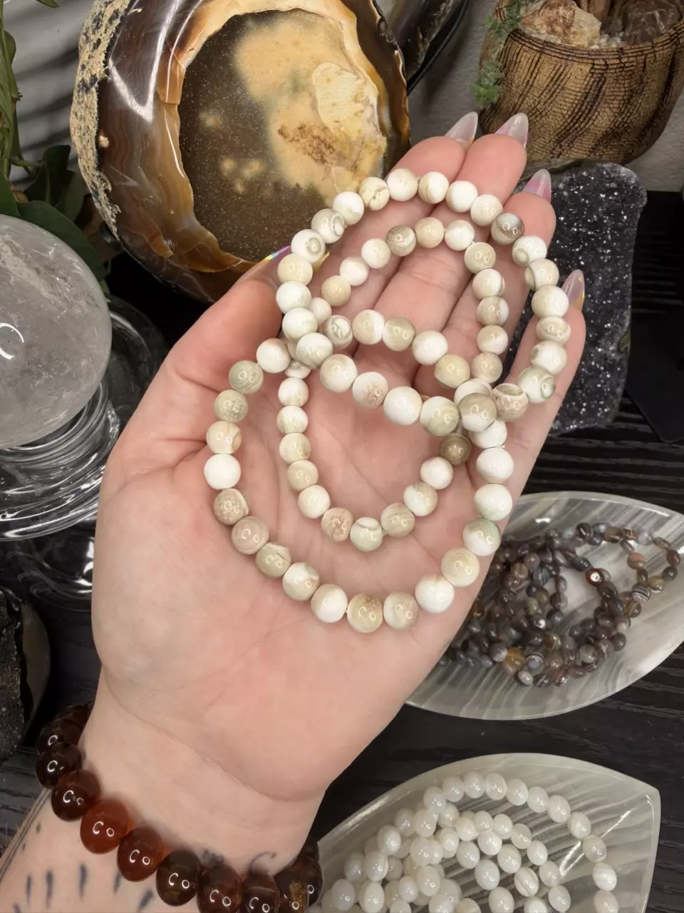 Shiva Shell Fossil Bracelet thumbnail