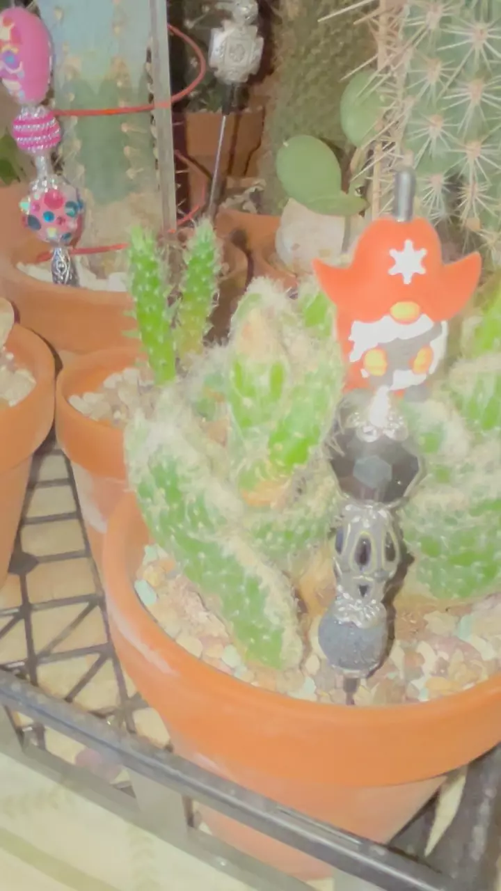 PBP Pot be Priti(Pot Pal/Plant stake) thumbnail