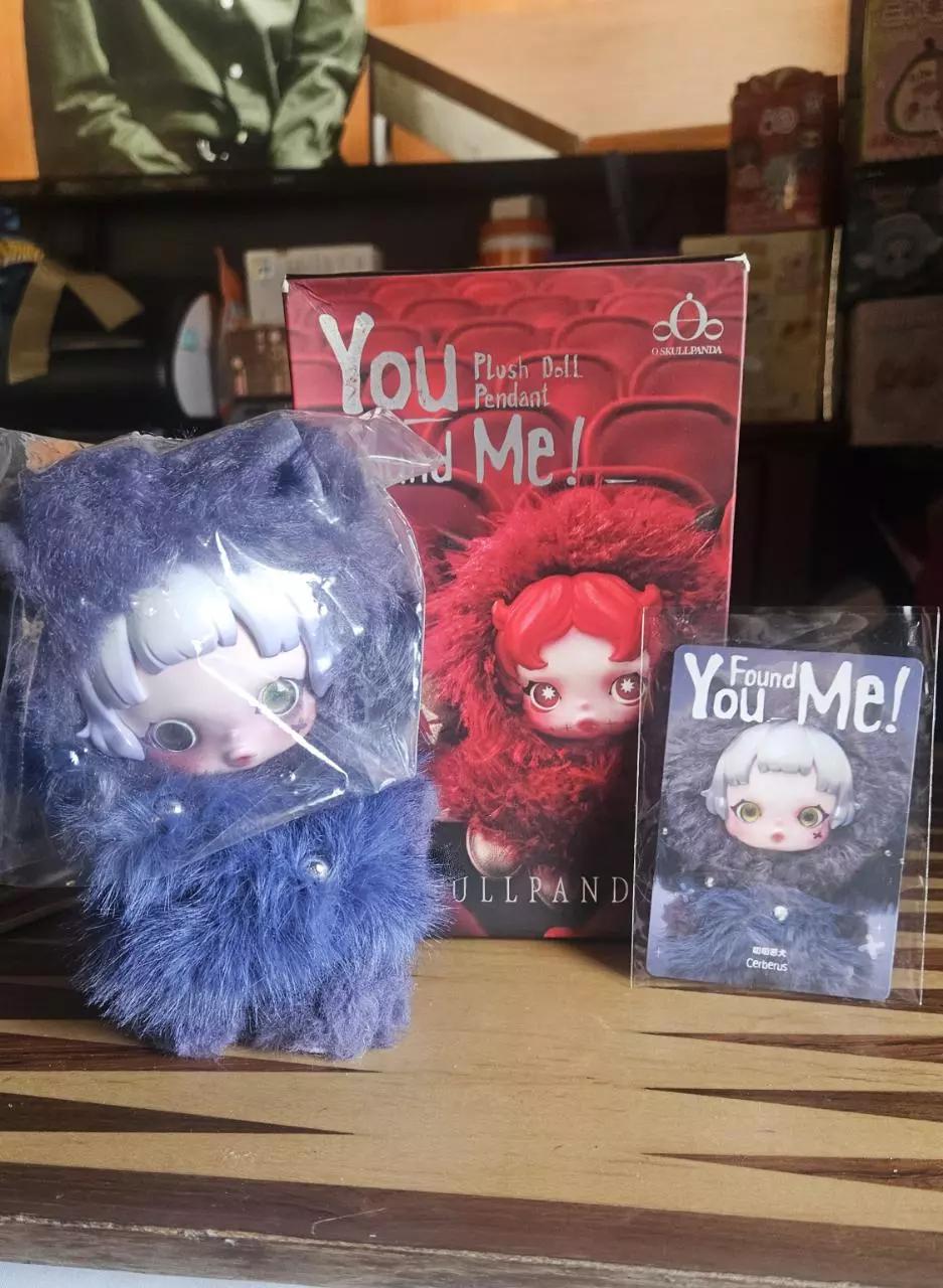 SKULLPANDA You Found Me! thumbnail