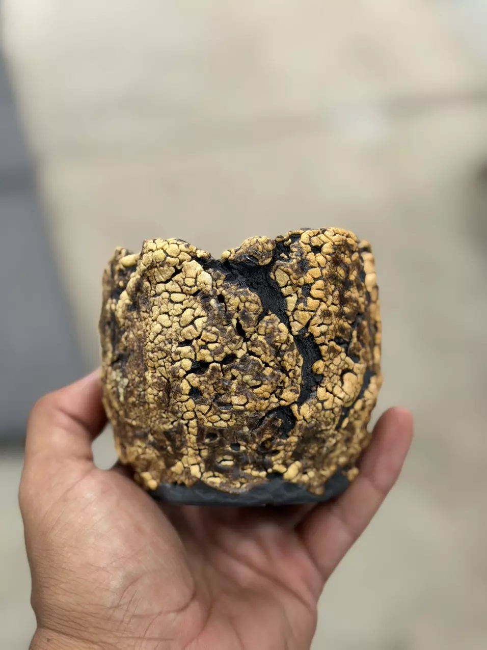 Golden 3.5x3.25H thumbnail