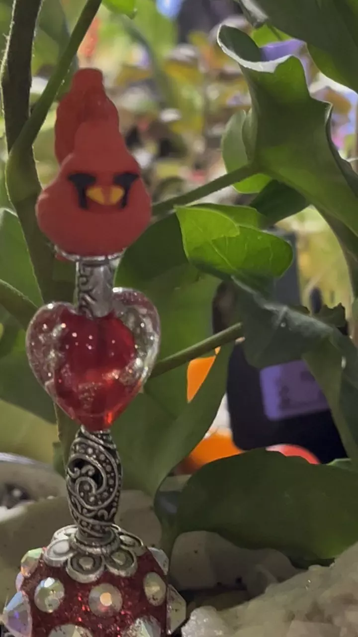 PBP Pot be Priti(Pot Pal/Plant stake) thumbnail
