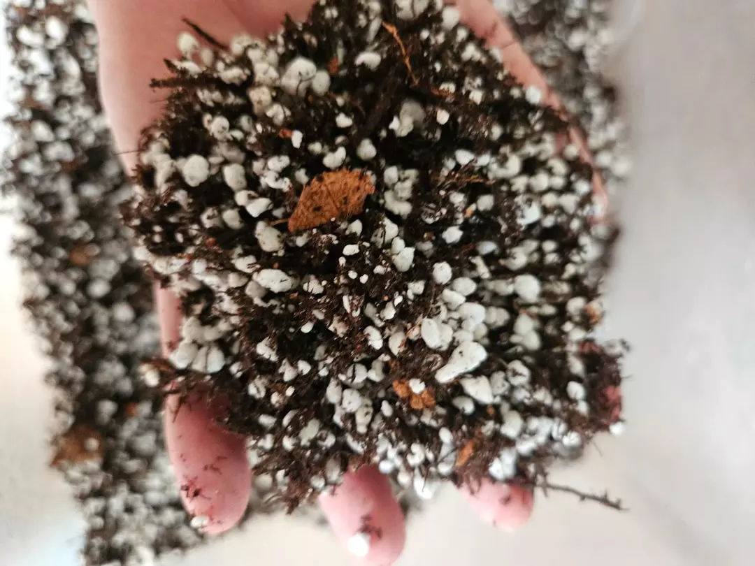 1lb of Prop mix thumbnail