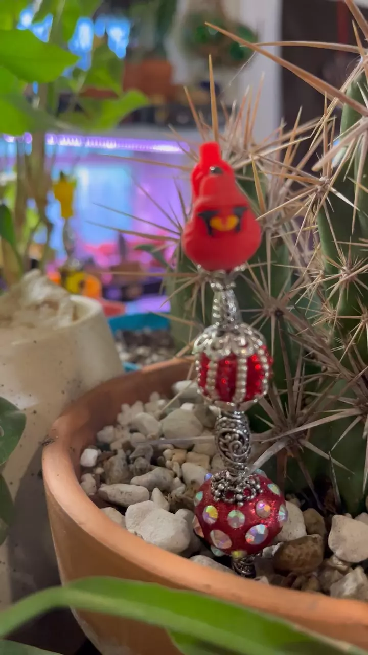 PBP Pot be Priti(Pot Pal/Plant stake) thumbnail
