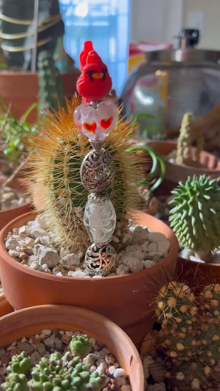 PBP Pot be Priti(Pot Pal/Plant stake) thumbnail