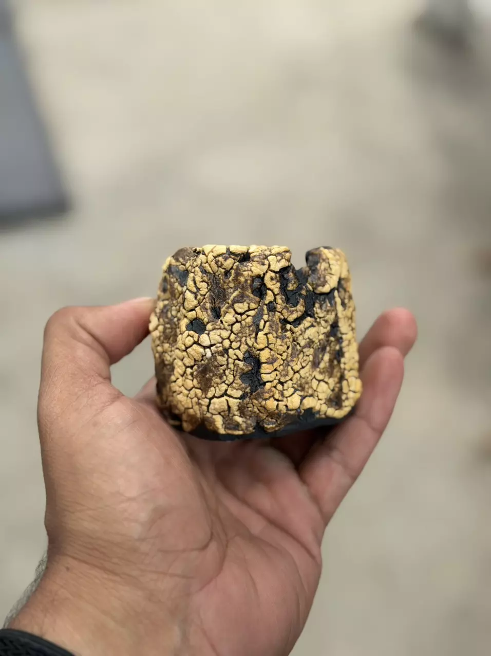 Golden 2.5x2.5 thumbnail