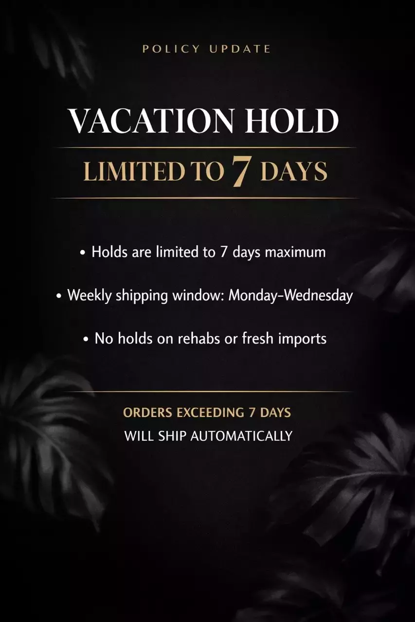 1-week hold thumbnail