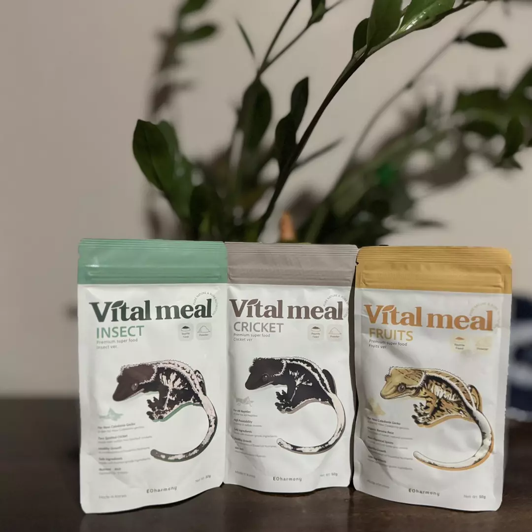 3 pack (one of each flavor) Vital Meal 50g each thumbnail