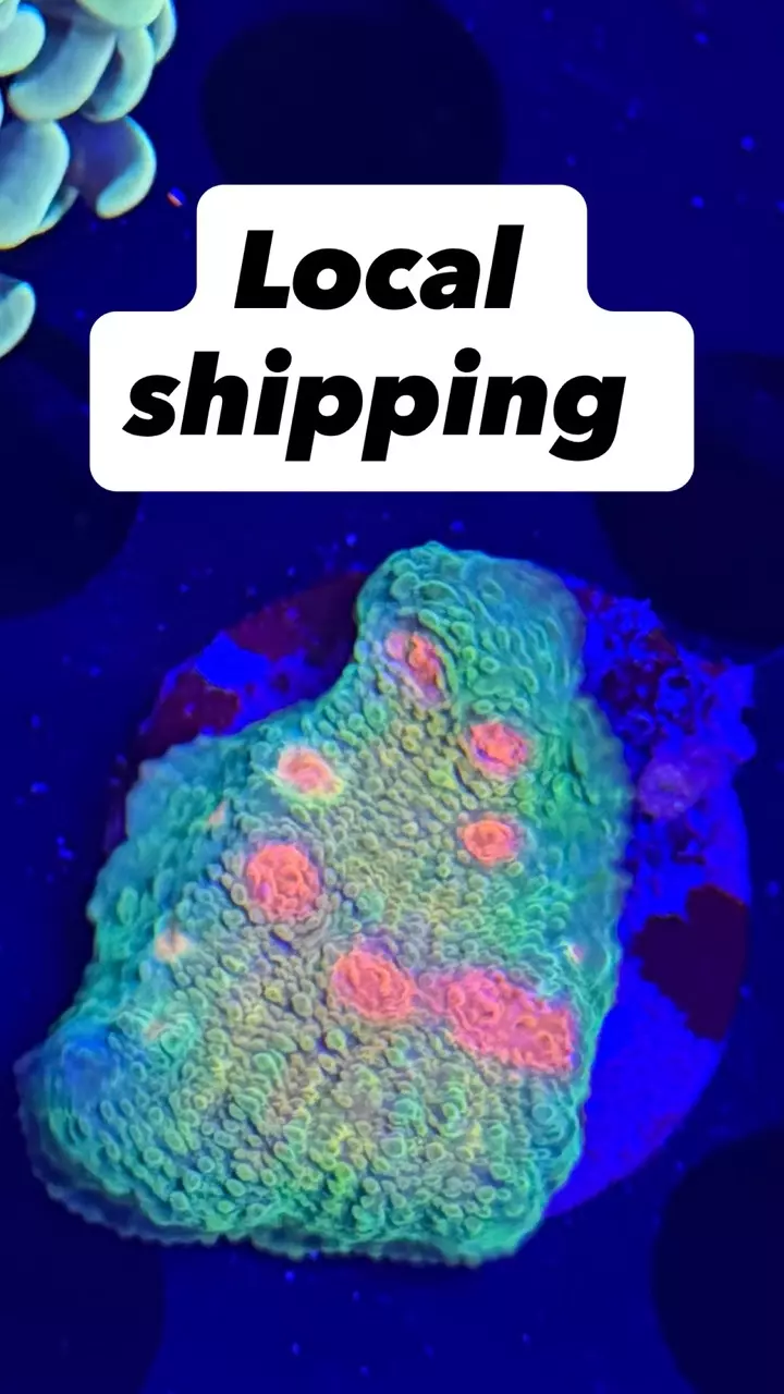 Local shipping thumbnail