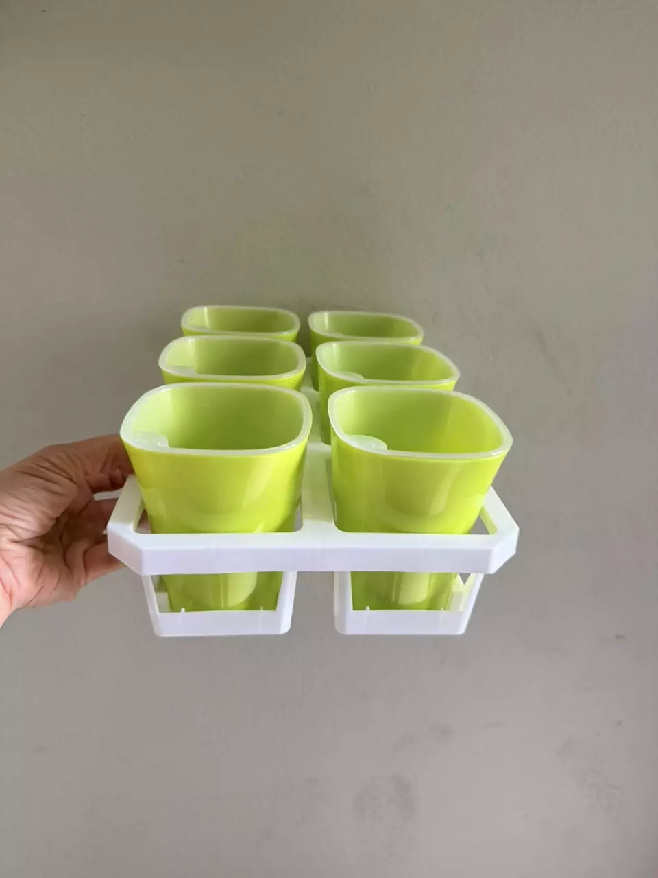 Bundle white tray and green 4” self watering pots with clear inner pots(6 pots) thumbnail