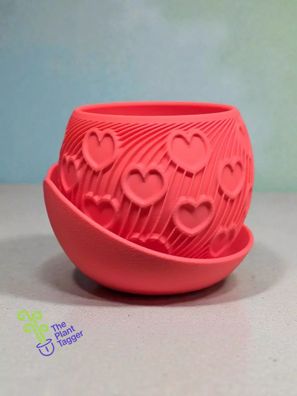 My Endless Love Hot Pink thumbnail