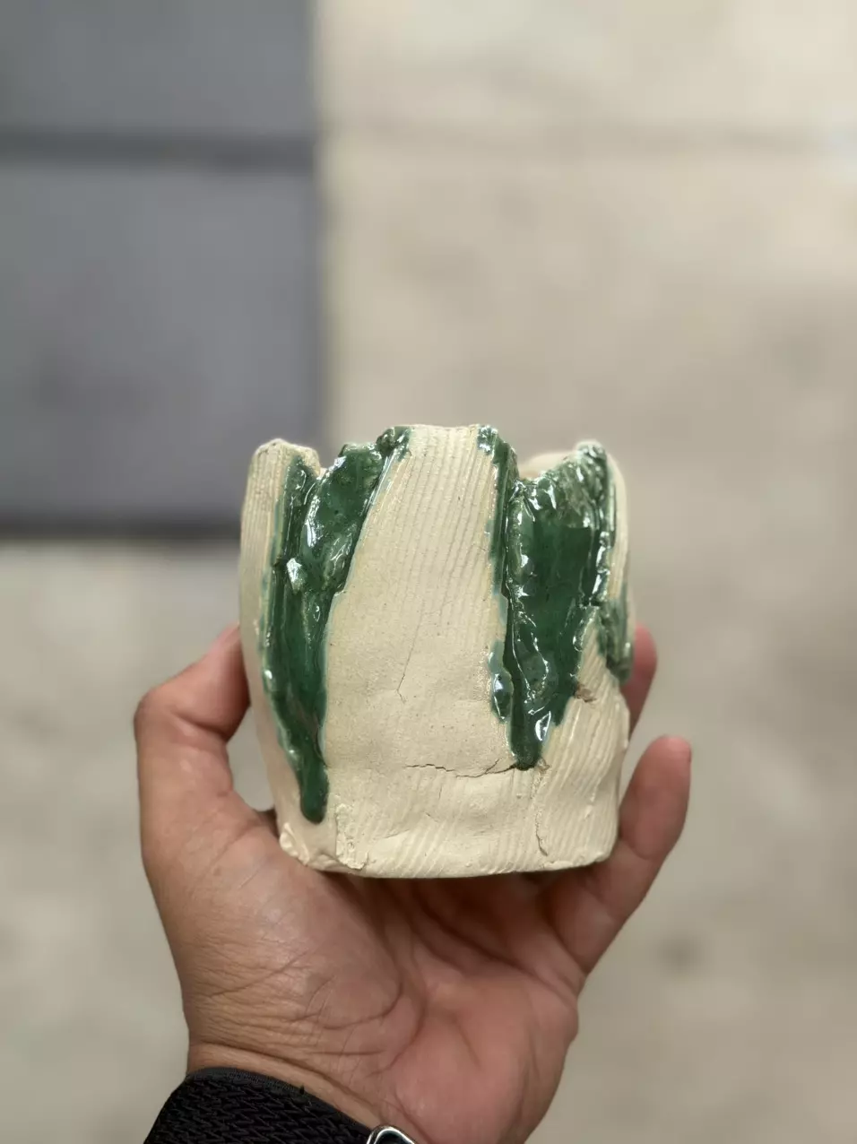 Hoya lines 3.5x3.5 thumbnail