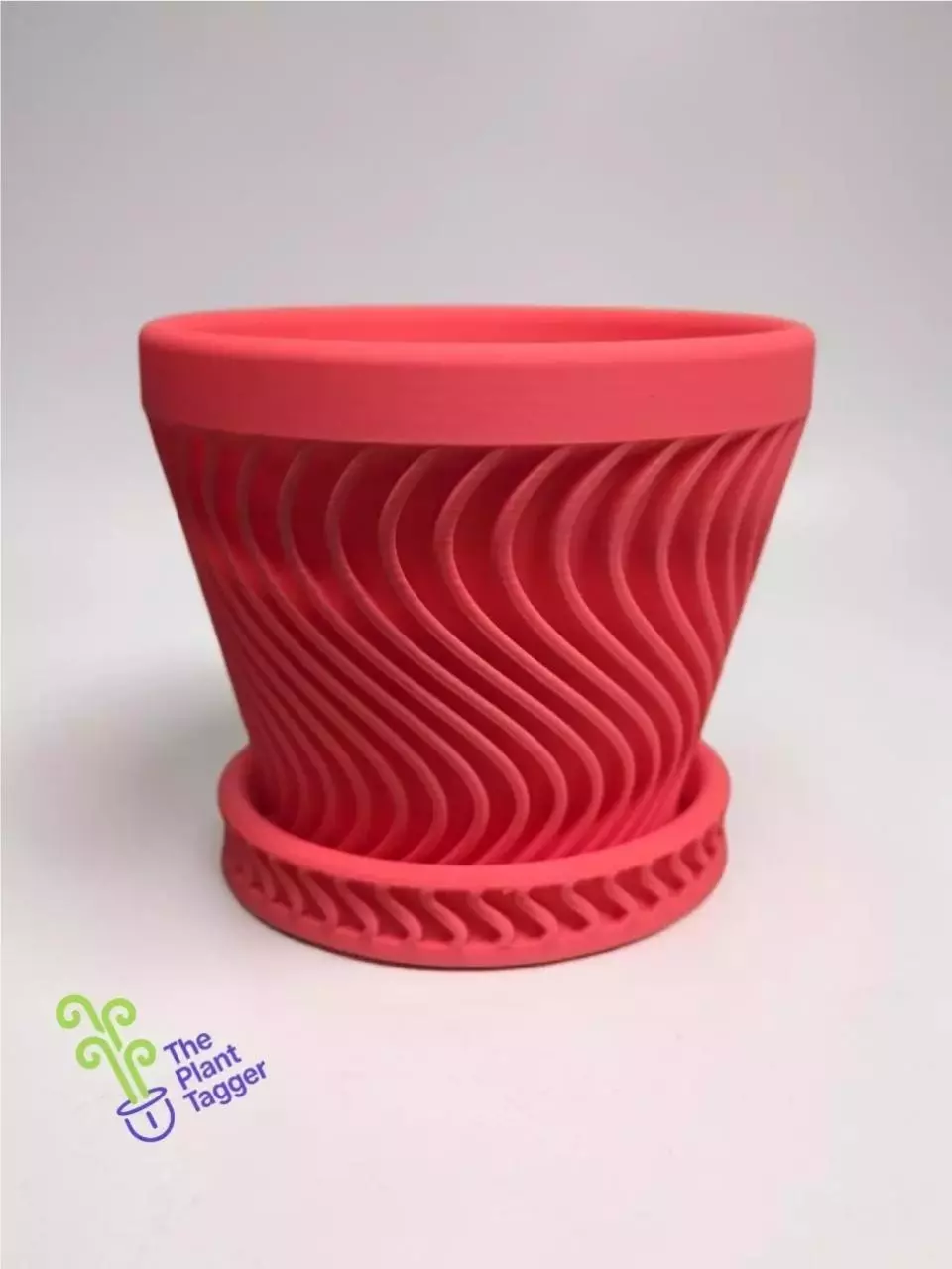 Shwavey Hot Pink thumbnail