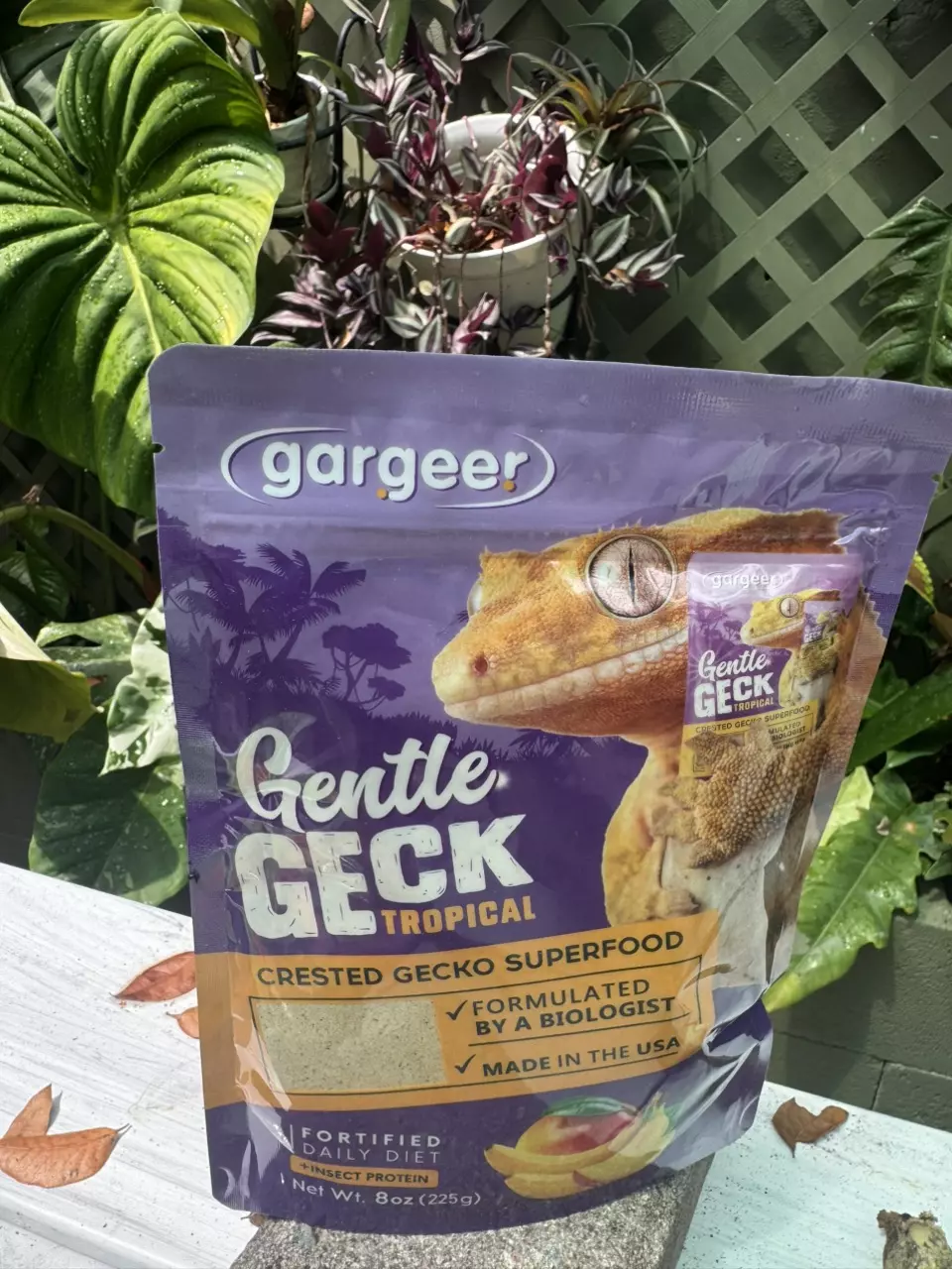 Gargeer tropical 8 oz thumbnail
