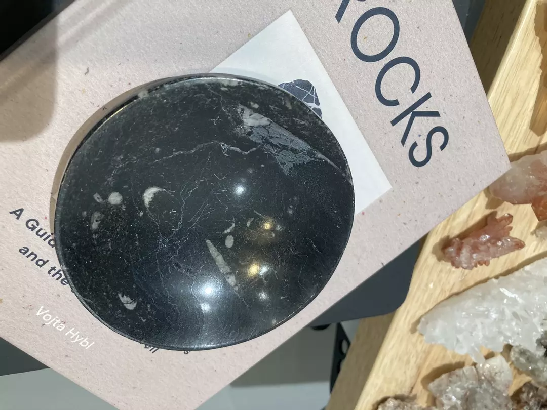 Fossil dish thumbnail