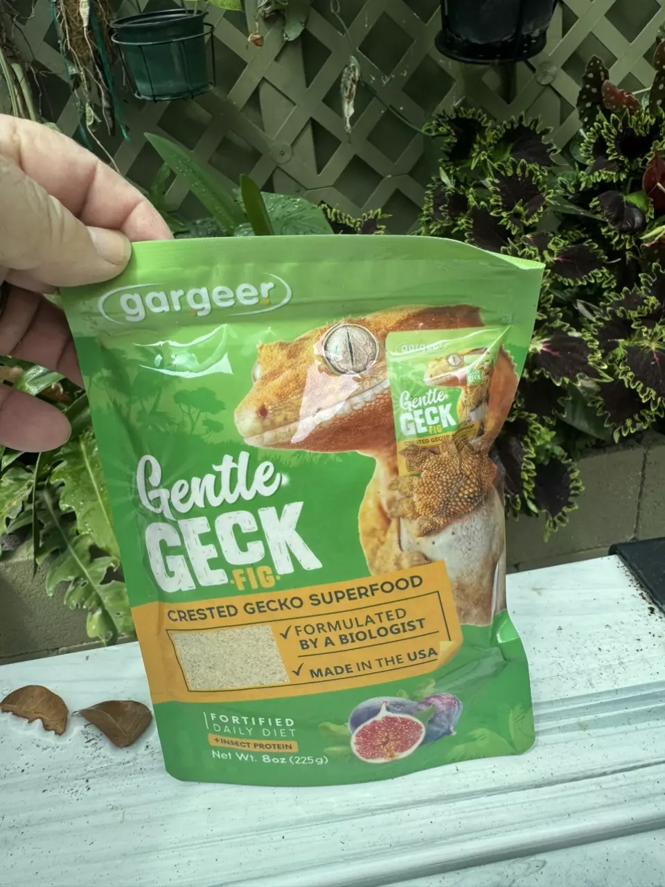 Gargeer 8 oz fig thumbnail