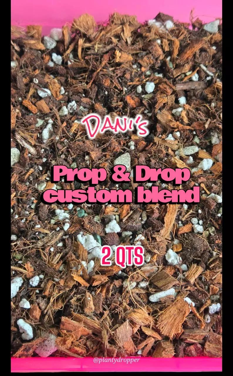 💅2 qts of PlantyDropper's custom Prop and Drop Semi-hydro soilless blend!✨️ thumbnail