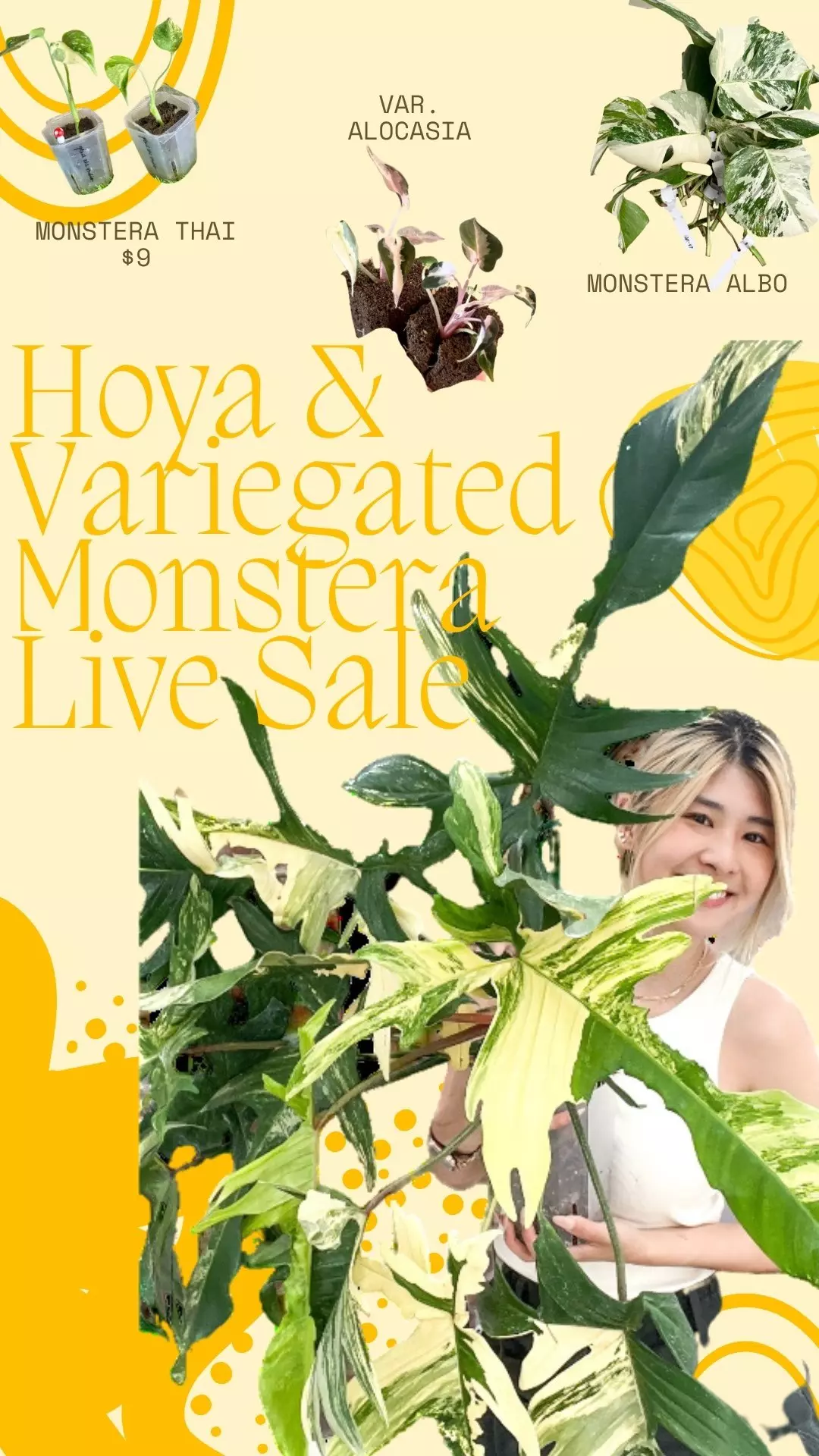 Variegated Monstera Live Sale!