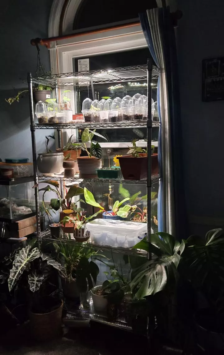 New Inventory! Deals on TC Mystery Packs.