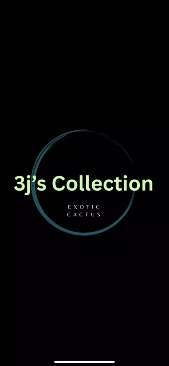 Chill Hangout Cactus Show