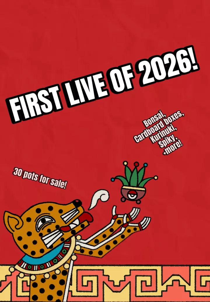 First live of 2026!