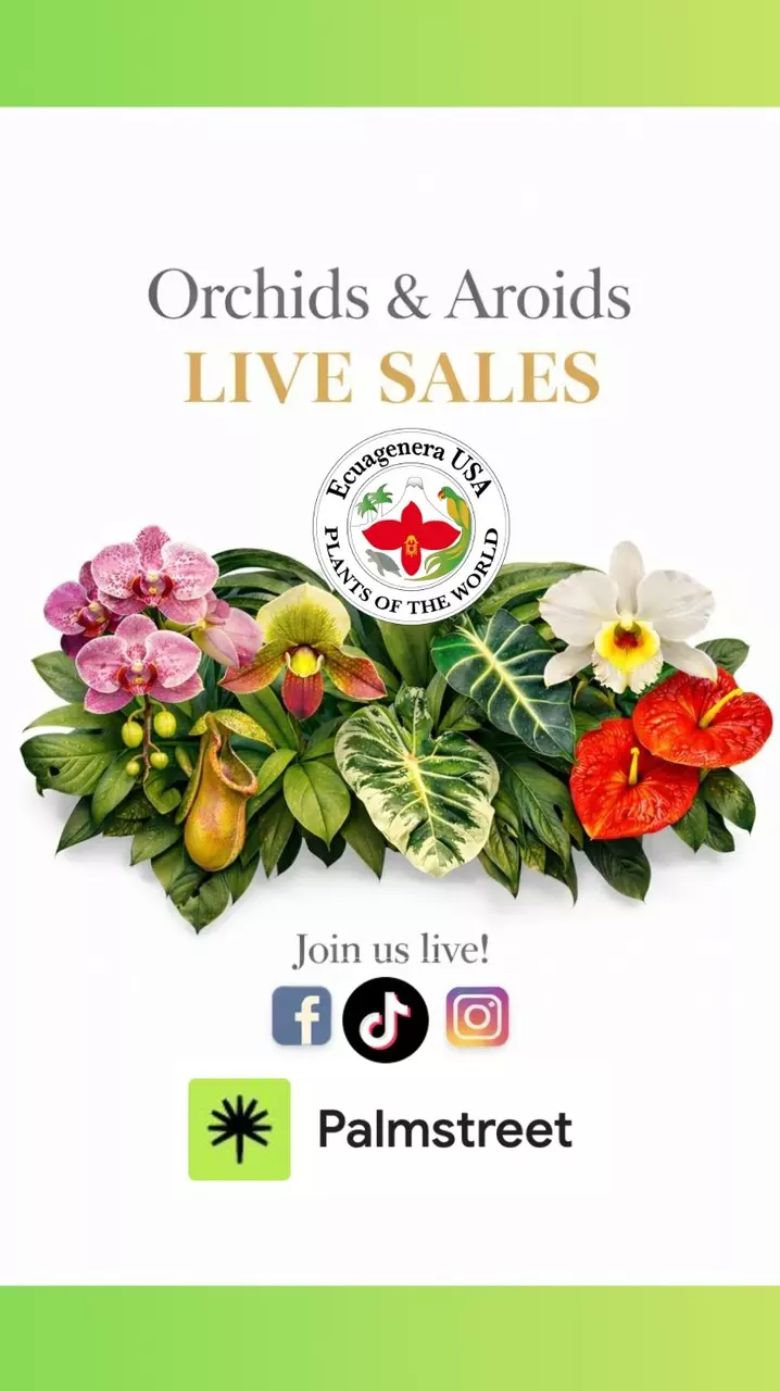 ✨ Aroids + Orchids & More amazing plants