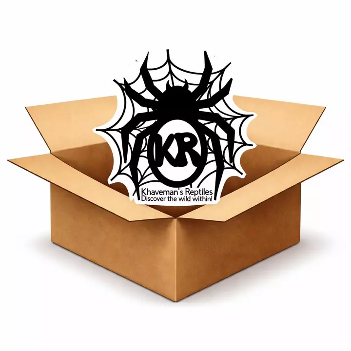 Fill your box! Shipping all Week!