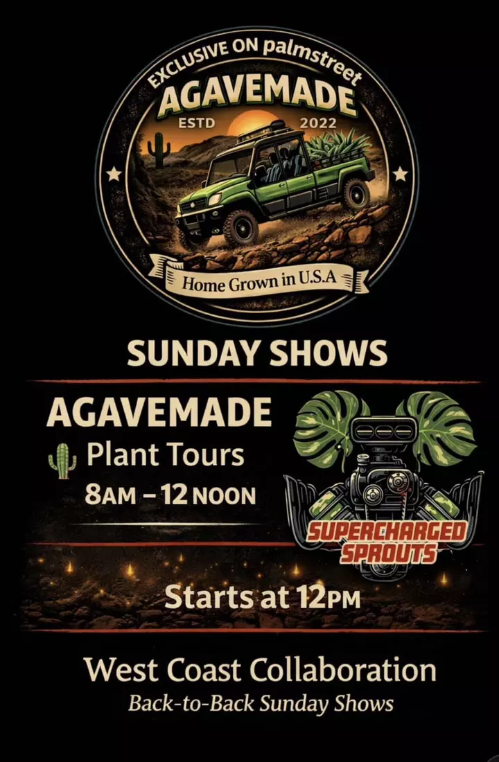 Collaboration Sunday - New Drop-