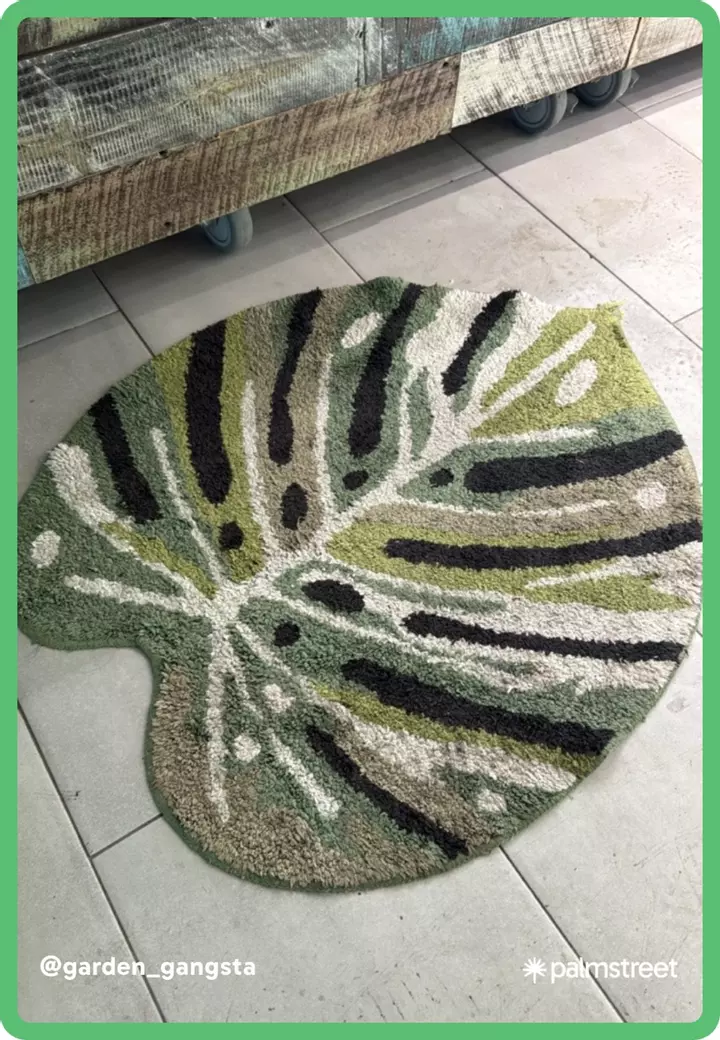 Saturday “I don’t control prices” plant sale 🌱 SEND HELP!