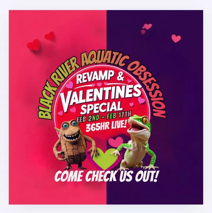 Click that bell 🔔