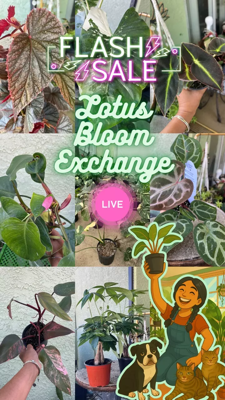 🌱Fresh leaves, good vibes, good friends🪴