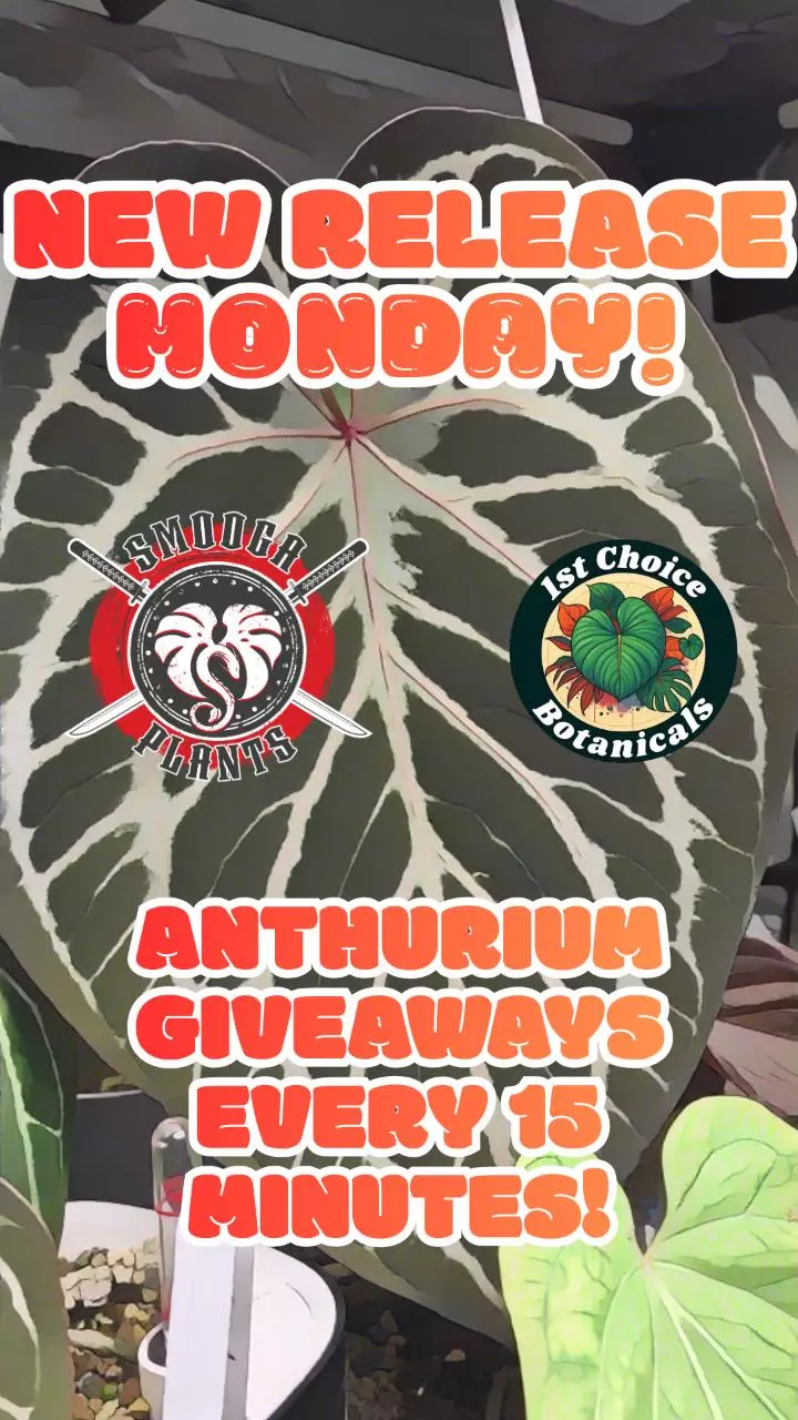 Smooga Plants NEW RELEASE! + Guest Appearance!