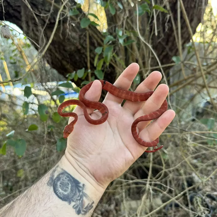 Join in for some good deals!