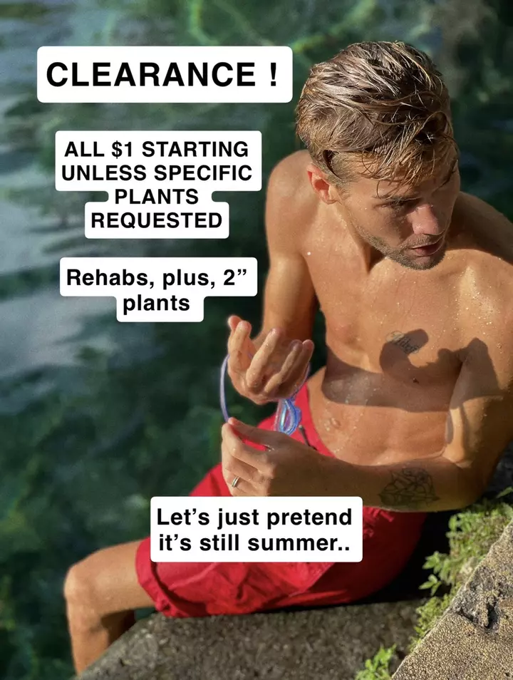 CLEARANCE ! ALL $1 STARTS UNLESS SPECIFIC PLANT REQUESTED !