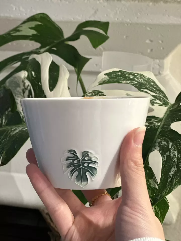 Game Night but who can resist game night sale!