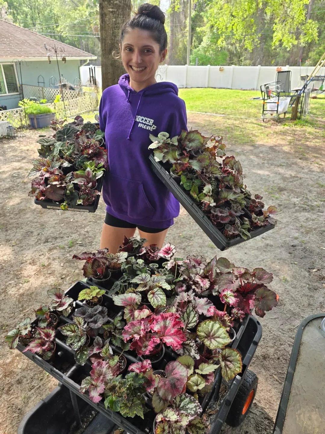 May Prop Class✨️(VIP PACKAGE) Begonia✨️May 23rd (1 rex, 1 riz, 1 cane, dirt) thumbnail