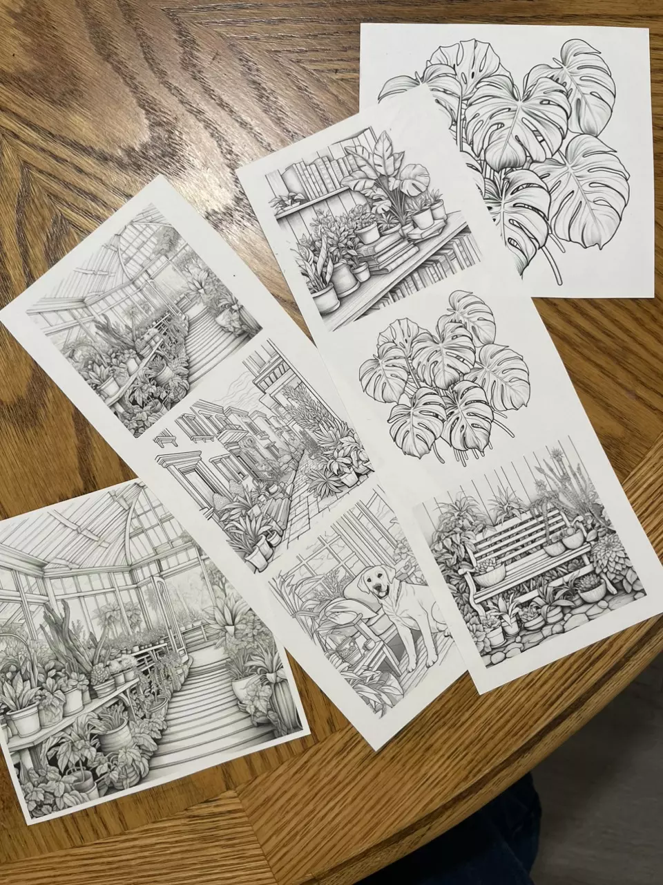 DIGITAL DOWNLOAD ALL 6 Coloring Pages. thumbnail