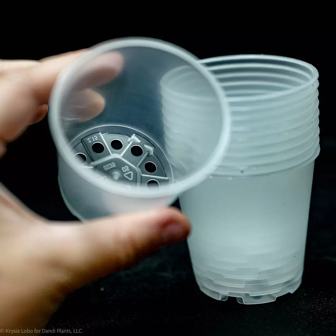 GPOT2- (100) 2” pots thumbnail