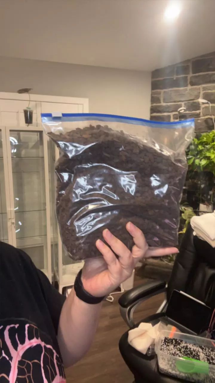 Orichiata gallon thumbnail