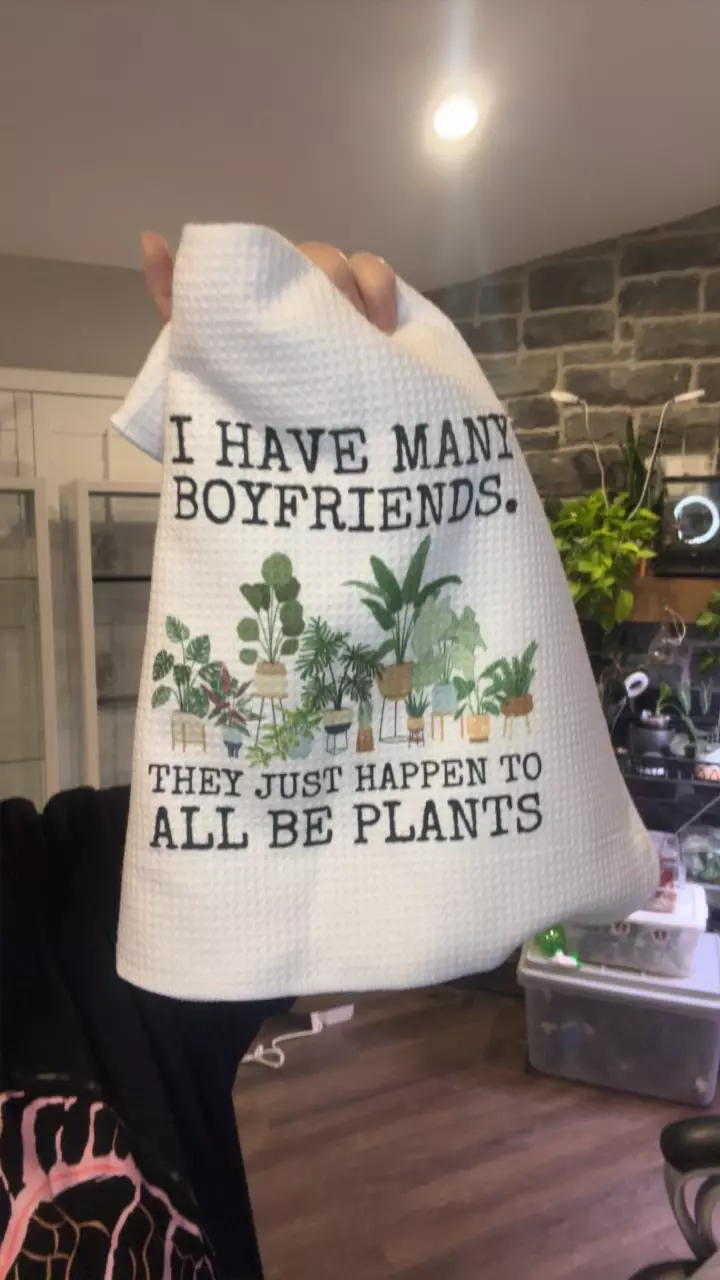 I have many boyfriends thumbnail